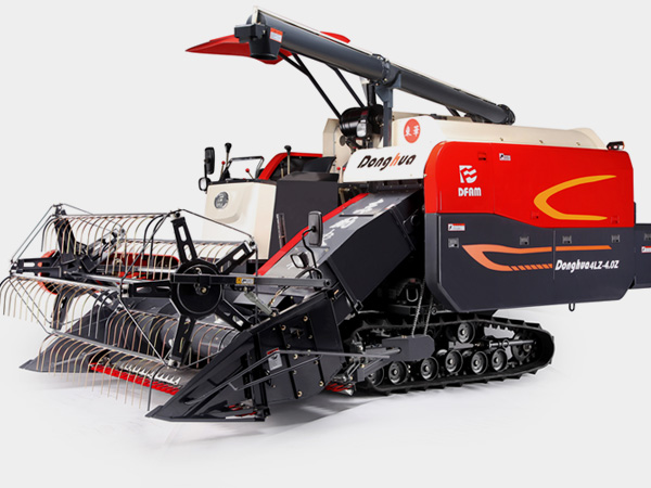 张家界做网站公司